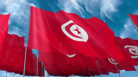 Multiple Tunisia flags seamless looping waving on blue sky Stock Footage 343685147