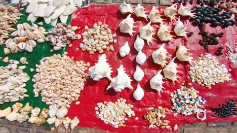 Multiple types of Seashells selling in the local Market of Dwarka, Gujarat, Indi Stock Footage 165297045
