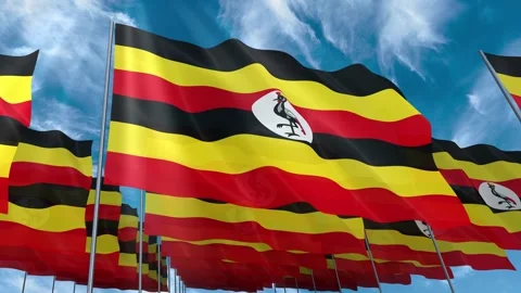 Multiple Uganda flags seamless looping waving on blue sky Stock Footage 343685326