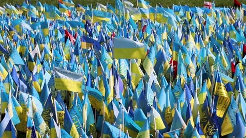 Multiple Ukrainian flags in Kyiv city center symbolizing people who were killes  스톡 동영상 237780938