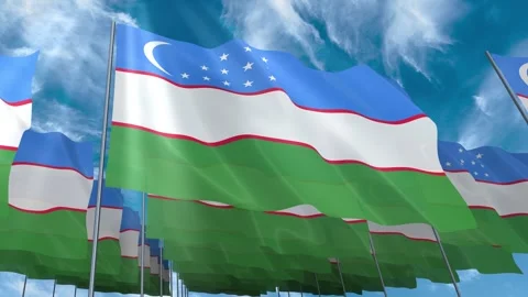 Multiple Uzbekistan flags seamless looping waving on blue sky Stock Footage 343685552