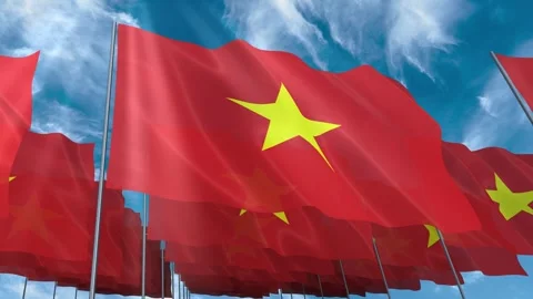 Multiple Vietnam flags seamless looping waving on blue sky Stock Footage 343685697