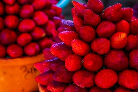 Multiple views of a pile of strawberries Stock Photos