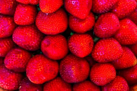 Multiple views of a pile of strawberries Stock Photos