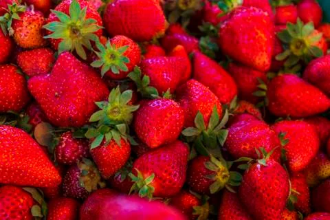 Multiple views of a pile of strawberries Stock Photos