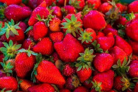 Multiple views of a pile of strawberries Foto stock