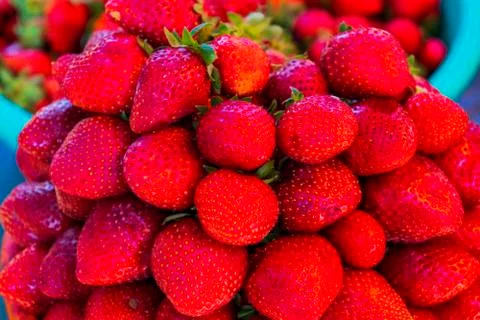 Multiple views of a pile of strawberries Stock Photos