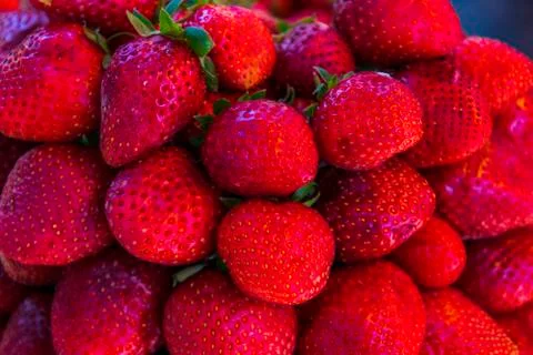 Multiple views of a pile of strawberries Stock Photos