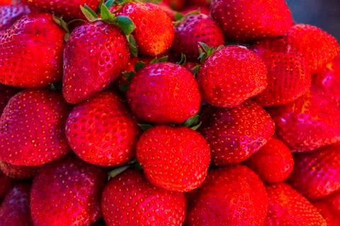 Multiple views of a pile of strawberries Stock Photos
