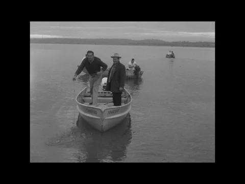 Multiple Vintage Clips of White Men Fishing in Boats on Lake River Bank Shore Stock Footage 77974647