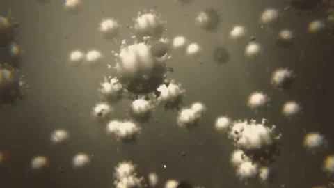 Multiple viruses in air or water. 3D animation. Coronavirus COVID-19. SEM Stock Footage 130350385