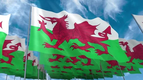 Multiple Wales flags seamless looping waving on blue sky Stock Footage 343685787