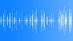 Multiple Walking Old Floor Sound Effect