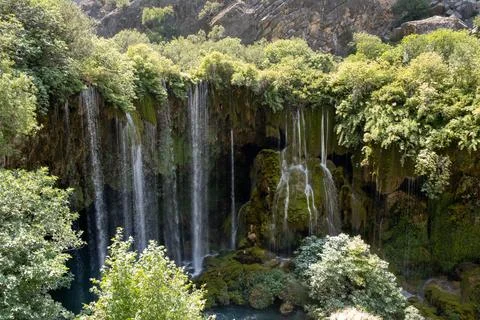 Multiple waterfalls flow through a dense forest, creating a serene natural .. 写真素材