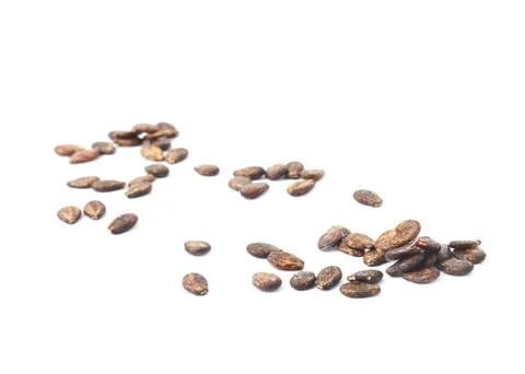 Multiple watermelon seeds isolated Stock Photos