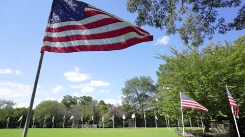Multiple Waving American flags pan R to L Stock Footage 206145199
