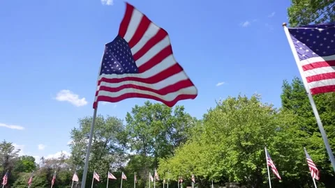 Multiple waving American flags panning from left to right Stock Footage 206145219