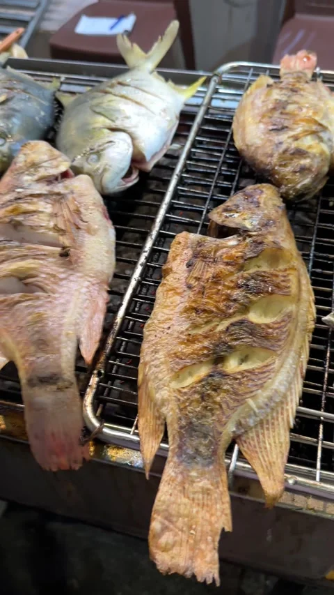Multiple whole raw and partially cooked fish Stock Footage 338237040
