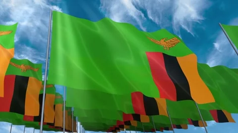 Multiple Zambia flags seamless looping waving on blue sky Stock Footage 343685819