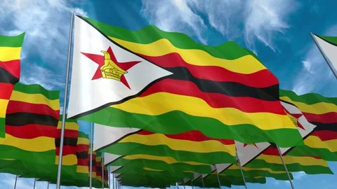 Multiple Zimbabwe flags seamless looping waving on blue sky Stock Footage 343685867