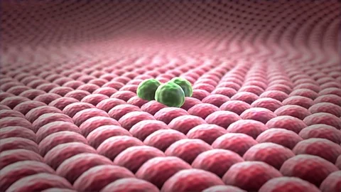 Multiplication of cells Stock Footage