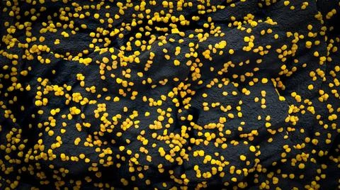 Multiplication of the corona virus under the microscope Multiplication of ... Stock Photos