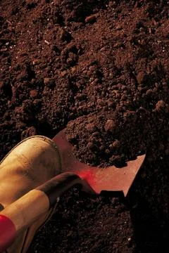 Multipliing the soil Stock Photos