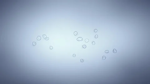 Multiplying Bacteria Through A Microscope Stock Footage 262052992