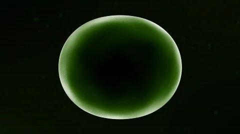 Multiplying Cells Stock Footage 580534