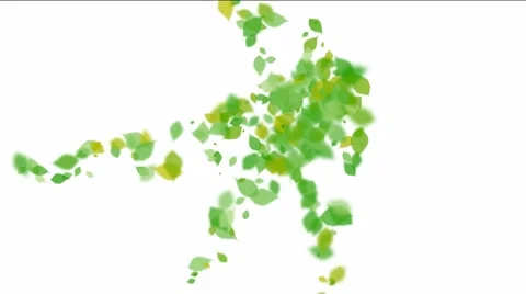 Multiplying leaves Stock Footage 7733726
