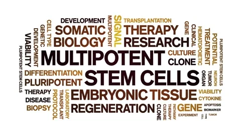 Multipotent Stem Cells animated word cloud,animation typography seamless loop. Video stock 327582294