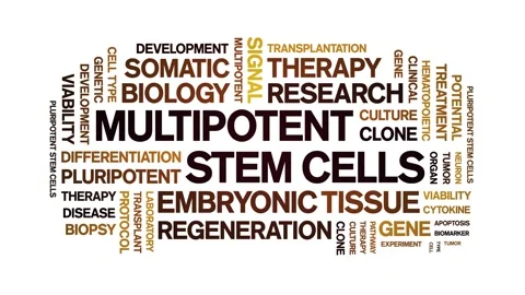 Multipotent Stem Cells animated word cloud,animation typography seamless loop. Stock Footage 327582314
