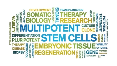 Multipotent Stem Cells animated word cloud,animation typography seamless loop. Stock Footage 327582336