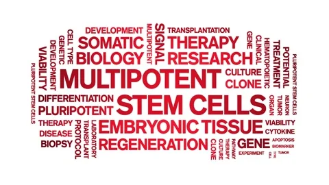 Multipotent Stem Cells animated word cloud,animation typography seamless loop. Stock Footage 327582459