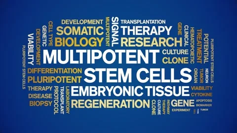 Multipotent Stem Cells animated word cloud,animation typography seamless loop. Stock Footage 327584566