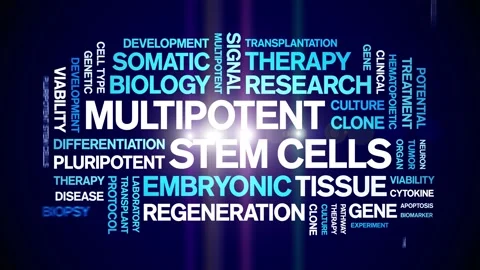 Multipotent Stem Cells animated word cloud,animation typography seamless loop. Stock Footage 327628014