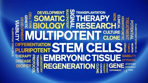 Multipotent Stem Cells animated word cloud,animation typography seamless loop. Video stock 327628159