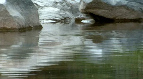 Multipul fish jump slomo 2 Stock-Footage 726877