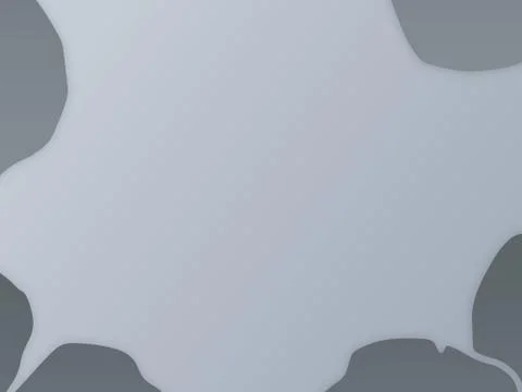 Multipurpose Black &amp; White Empty Background With Modern Shapes Template Illustrazione stock