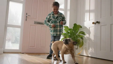 Multiracial boy with Down syndrome doing tricks with dog Stock Footage 238846448