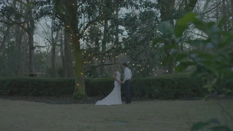 Multiracial Bride and Groom in the Backyard with String Lights Wrapped Around Stock Footage 208784057