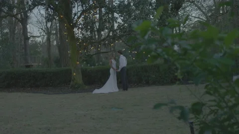 Multiracial Bride and Groom in the Backyard with String Lights Kissing Stock Footage 208784612