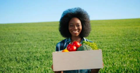 Multiracial female gardener smells and showing to the camera fresh tomatoes at Stock Photos