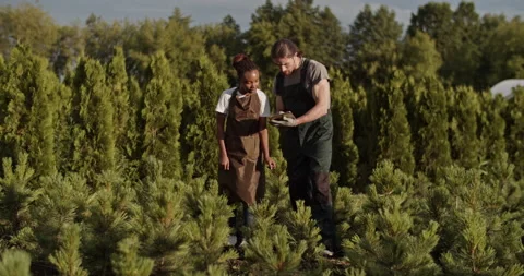 Multiracial gardeners with tablet checking plants Stock Footage 202140774