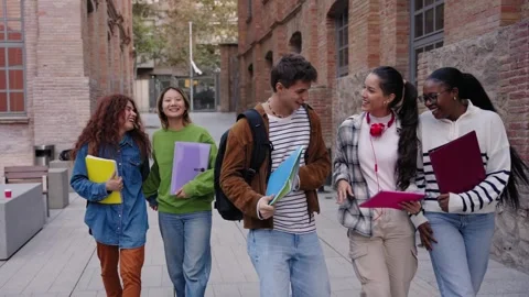 Multiracial group of cheerful erasmus students enjoying free time. Generation z Stock Footage 264984551