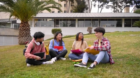 Multiracial group four young students gathered outdoor. Smiling teenage friends Stock Footage 248181382