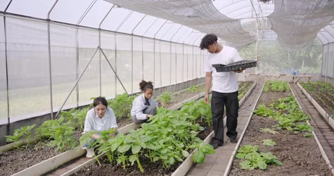 Multiracial group of students participating in school agriculture lesson inside Stock Footage 314487928