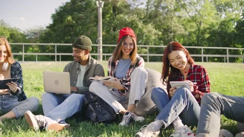 A multiracial group of students sits on the grass, with an African-American male Stock Footage 283840649