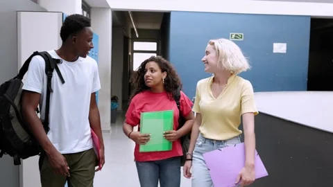 Multiracial group of young students talking after class at high school Stock Footage 209895762