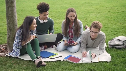 Multiracial hispanic team in discussion using computer along academy campus in Stock Footage 99053313